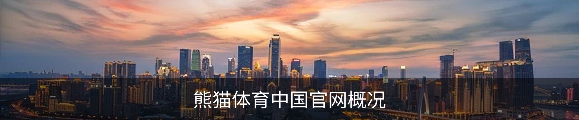 熊猫体育中国官网概况